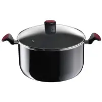 Tefal Marmite a3794622 24cm, 5 litres