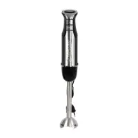 Bergmann Mixeur Plongeur Silver Chef Hb3042