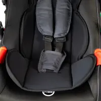 Chanou Kids Siége auto avec bras en aluminium Noir 2