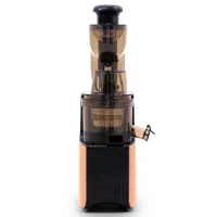 Balzano  extracteur de jus a froid  EMPIRE royal EK3068