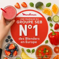 Moulinex PerfectMix+ LM81GD10 Blender  2L 1200W
