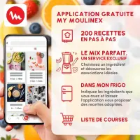 Moulinex PerfectMix+ LM81GD10 Blender  2L 1200W
