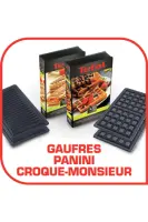 Gaufrier grill snack tefal collection 2 SW857D12