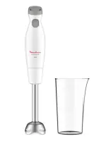 Bras bras Mixeur Moulinex easy chef  inox DD451110