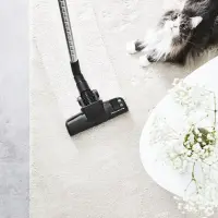 Rowenta Aspirateur Silence Force Allergy+Ro 9878