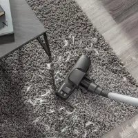 Rowenta Aspirateur Silence Force Allergy+Ro 9878