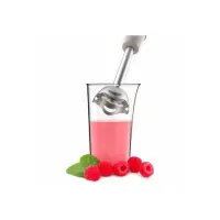 Moulinex Mixeur Plongeant  soleil ivoire 450W DD471A10