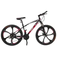 Speed vélo pour adultes  roues à 6 batons 26 pouces