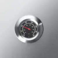 ProfiCook Barbecue à gaz PC-GG 1219