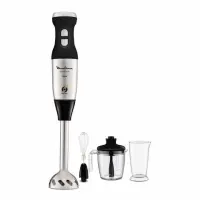 Moulinex bras mixeur steelforce 3en1 DD883D10