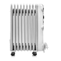 Delonghi bain d'huile 2000W TRRS0920