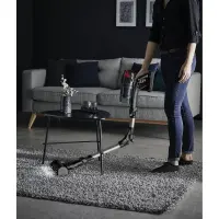 Rowenta aspirateur flex12.60 kit annimal RH98A7WO