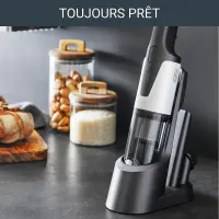 Rowenta à main x touch aspirateur ac9736 wo