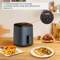Moulinex friteuse sans huile EZ245b20 5L
