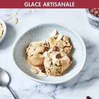 MAGIMIX gelato expert sorbetière turbine  11680