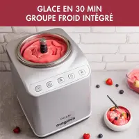 MAGIMIX gelato expert sorbetière turbine  11680