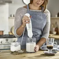 kenwood bras mixeur 3en1 600w 109WG