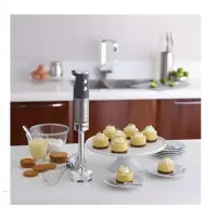 Kenwood pied mixeur bras + fouet ballon HDM800si
