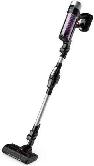Rowenta  aspirateur RH2037 X-Force Flex 9.60 Allergy