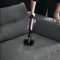Rowenta  aspirateur RH2037 X-Force Flex 9.60 Allergy