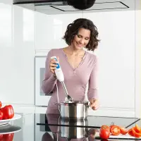 Braun mixeur plongeant multiquick 700 W MQ3000WH