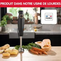 Moulinex pied mixeur 600W DD46E810