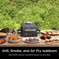 Ninja woodfire barbecue et fumoir d'extérieur OG701
