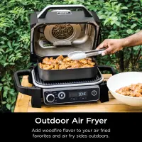 Ninja woodfire barbecue et fumoir d'extérieur OG701