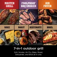 Ninja woodfire barbecue et fumoir d'extérieur OG701