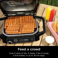Ninja woodfire barbecue et fumoir d'extérieur OG701