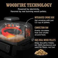 Ninja woodfire barbecue et fumoir d'extérieur OG701