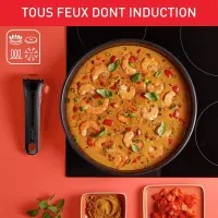 Tefal Ingenio Batterie cuisine 20 pcs L897SJ04