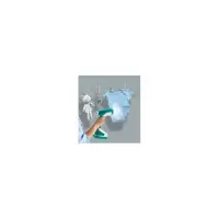 Calor Access Steam+ defroisseur DT8173C0