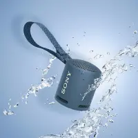 Sony enceinte ultraportable sans fil SRS-XB13