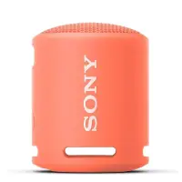 Sony enceinte ultraportable sans fil SRS-XB13