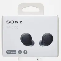 Sony écouteurs sans fil WF-C500 noir minuit