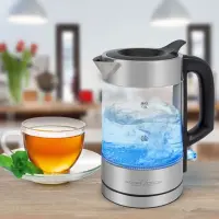 ProfiCook Bouilloire Inox 1 L 1600 W PC-WKS1229
