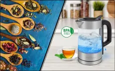 ProfiCook Bouilloire Inox 1 L 1600 W PC-WKS1229