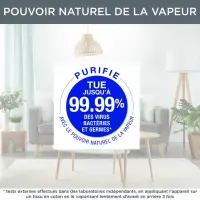 Rowenta défroisseur access steam pocket DR3053 1300w