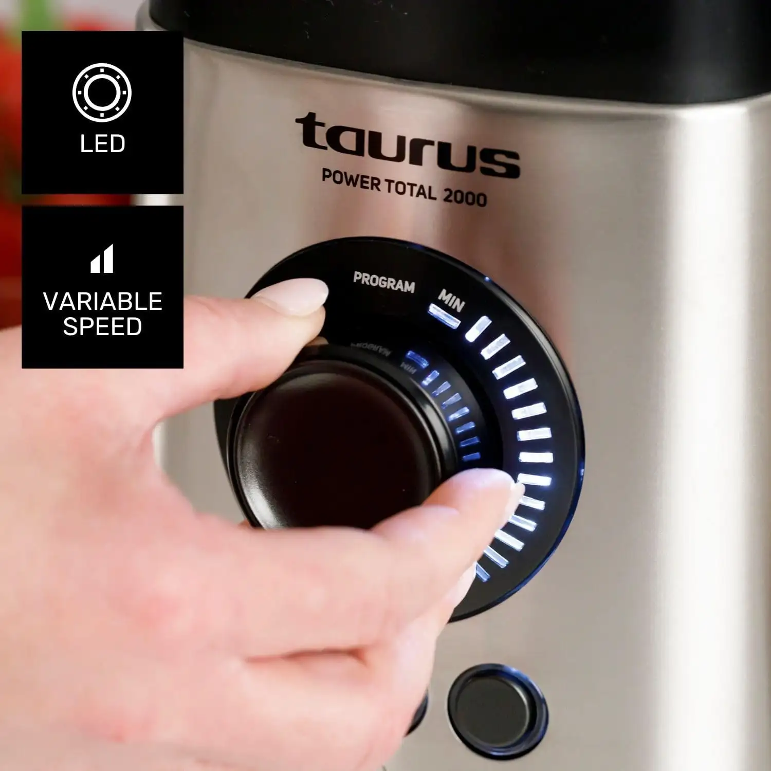 Taurus blender 2000 2 vitesses TURBO 2.2 L 6 lames