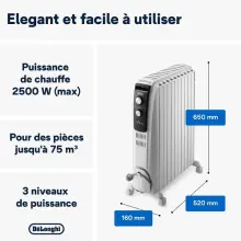 DeLonghi bain d'huile Dragon TRD04 1025