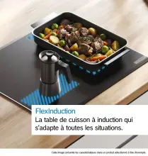 Bosch plaque de cuisson a induction serie 8 60cm PXX675DC1E