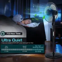 Schaublorenz ventilateur avec télécommande 16"