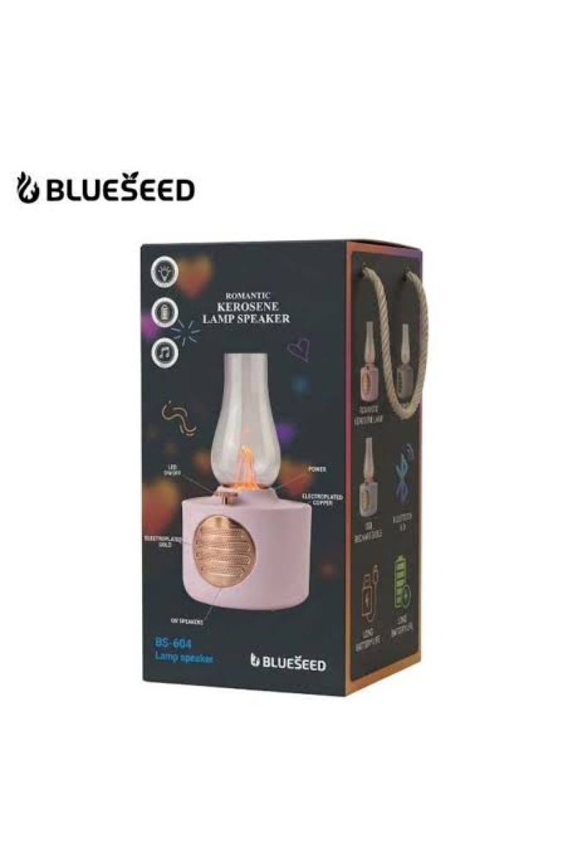 Lampe Effet Flamme & Enceinte Bluetooth Blueseed 5W