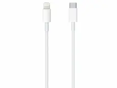 Câble USB-C vers Lightning iPhone Charge Rapide