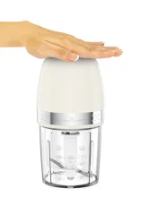 Moulinex Mini hachoir SOLEIL DJ360A10