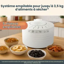 Clatronic DR 2751 Déshydrateur 5 Plateaux 250 W