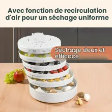 Clatronic DR 2751 Déshydrateur 5 Plateaux 250 W