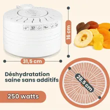 Clatronic DR 2751 Déshydrateur 5 Plateaux 250 W