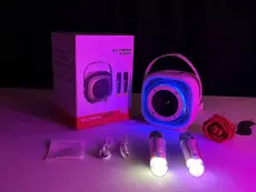 Multimedia player K29 + 2 microphones
